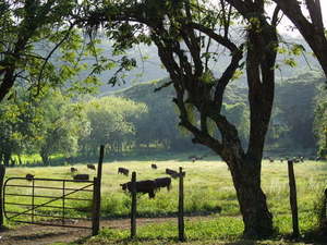 Img?dir=public%2fimages%2fphotos%2fgallery_19&src=glfzgqdmjf_pc069026