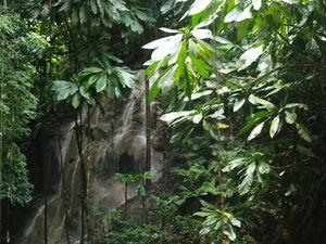 Img?dir=public%2fimages%2fphotos%2fgallery_19&src=c2dzkjqblq_pc079145