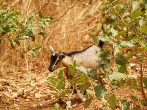 Img?dir=public%2fimages%2fphotos%2fgallery_20&src=boc5tosgrb_p3221896