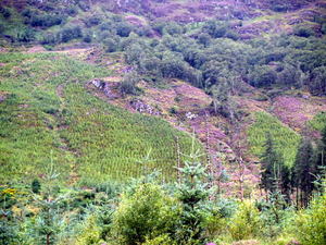 Img?dir=public%2fimages%2fphotos%2fgallery_21&src=bl6nmajvru_p6293470