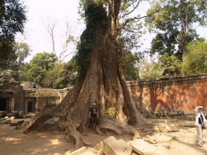 Img?dir=public%2fimages%2fphotos%2fgallery_24&src=gns4yicylu_p1269458