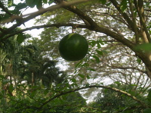 Img?dir=public%2fimages%2fphotos%2fgallery_24&src=meza4ea1ae_p1249030
