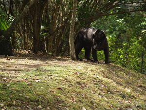 Img?dir=public%2fimages%2fphotos%2fgallery_25&src=rxiatgswwd_picture_341