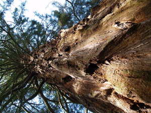 Img?dir=public%2fimages%2fphotos%2fgallery_27&src=duuqusrrks_p7086143