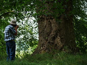 Img?dir=public%2fimages%2fphotos%2fgallery_27&src=kxwywdtqvj_p7076091