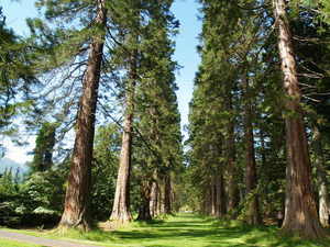 Img?dir=public%2fimages%2fphotos%2fgallery_27&src=jgiga6n6xv_p7086147