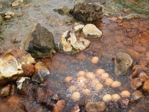 Img?dir=public%2fimages%2fphotos%2fgallery_28&src=8tk5xscohs_p7318055_001