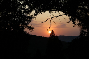 Img?dir=public%2fimages%2fphotos%2fgallery_33&src=x8hjbdrkqw_my5a2086